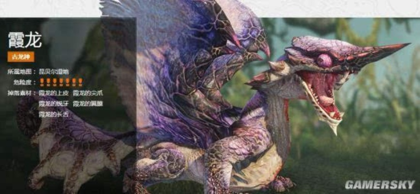 霞龙招式解析!怪异克服技巧,轻松猎杀《怪物猎人崛起》霞龙攻略大揭秘 霞龙招式解析!怪异克服技巧,轻松猎杀《怪物猎人崛起》霞龙攻略大揭秘