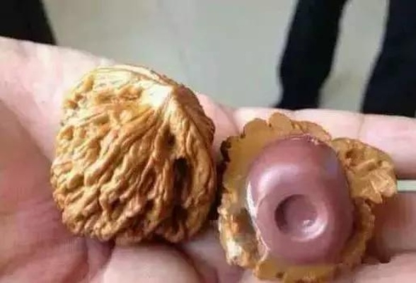 男子四年盘玩核桃竟是塑料,150元白花冤枉钱!揭秘文玩陷阱 男子四年盘玩核桃竟是塑料,150元白花冤枉钱!揭秘文玩陷阱