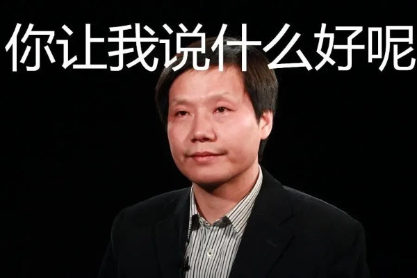 雷军怒斥“营销大师”标签:恶心二字何其刺耳 雷军怒斥“营销大师”标签:恶心二字何其刺耳