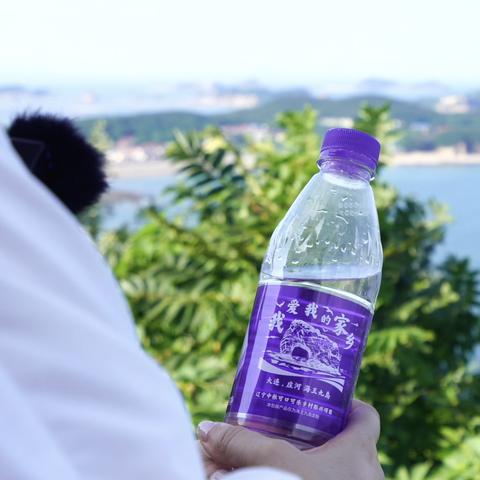 死亡岛Steam存档，游戏记忆的守护与延续