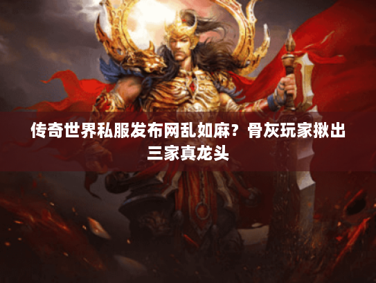 传奇世界私服发布网乱如麻？骨灰玩家揪出三家真龙头