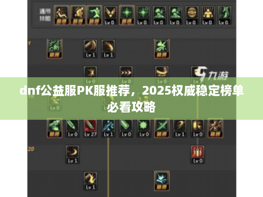 dnf公益服PK服推荐，2025权威稳定榜单必看攻略