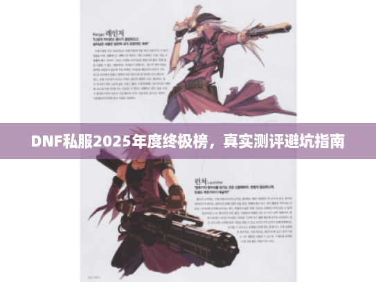 DNF私服2025年度终极榜，真实测评避坑指南