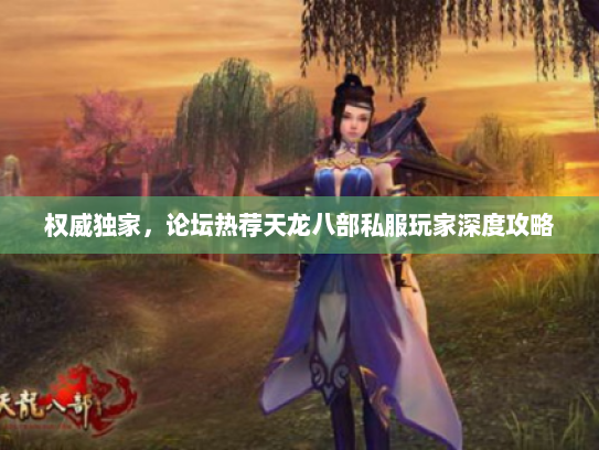 权威独家，论坛热荐天龙八部私服玩家深度攻略