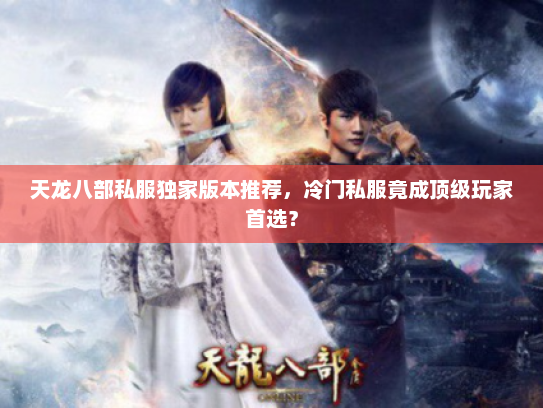 天龙八部私服独家版本推荐，冷门私服竟成顶级玩家首选？
