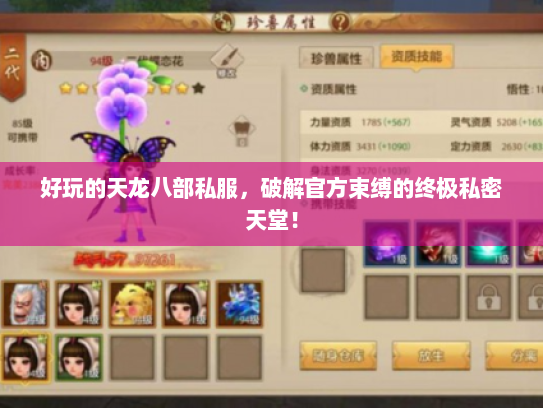 好玩的天龙八部私服，破解官方束缚的终极私密天堂！