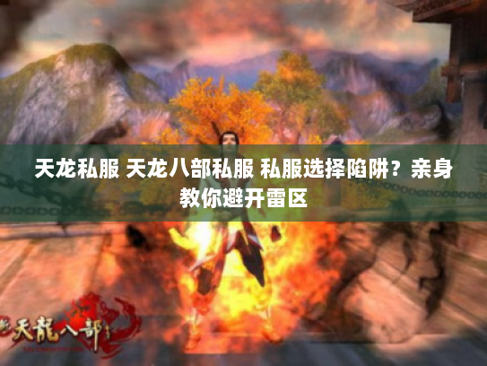 天龙私服 天龙八部私服 私服选择陷阱？亲身教你避开雷区