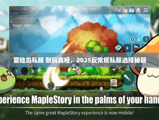 冒险岛私服 耐玩真相，2025反常规私服选择秘籍