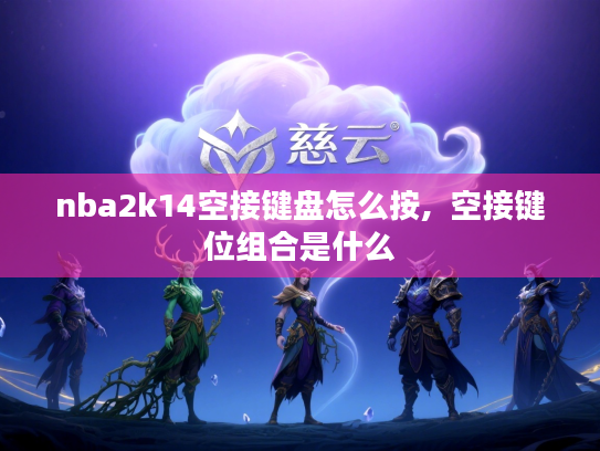 nba2k14空接键盘怎么按,  空接键位组合是什么