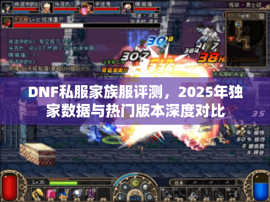 DNF私服家族服评测，2025年独家数据与热门版本深度对比