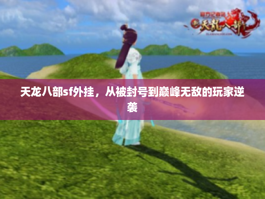 天龙八部sf外挂,从被封号到巅峰无敌的玩家逆袭 天龙八部sf外挂,从被封号到巅峰无敌的玩家逆袭