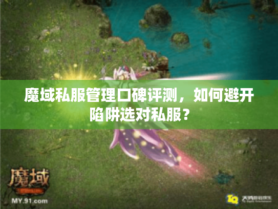 魔域私服管理口碑评测,如何避开陷阱选对私服? 魔域私服管理口碑评测,如何避开陷阱选对私服?