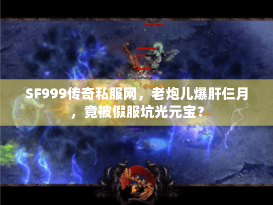 SF999传奇私服网，老炮儿爆肝仨月，竟被假服坑光元宝？