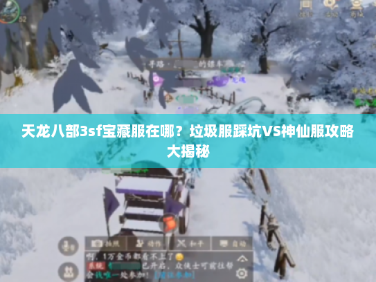 天龙八部3sf宝藏服在哪？垃圾服踩坑VS神仙服攻略大揭秘