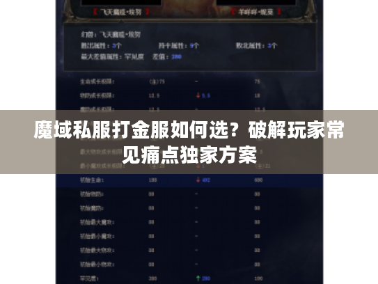 魔域私服打金服如何选？破解玩家常见痛点独家方案