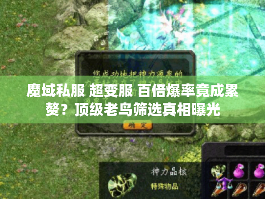 魔域私服 超变服 百倍爆率竟成累赘？顶级老鸟筛选真相曝光