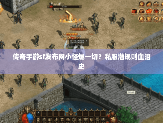 传奇手游sf发布网小怪爆一切?私服潜规则血泪史 传奇手游sf发布网小怪爆一切?私服潜规则血泪史