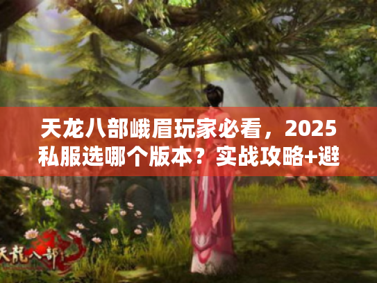 天龙八部峨眉玩家必看，2025私服选哪个版本？实战攻略+避坑指南来了！