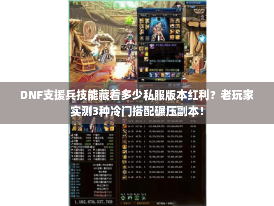 DNF支援兵技能藏着多少私服版本红利？老玩家实测3种冷门搭配碾压副本！
