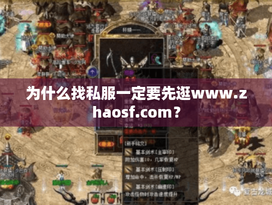 为什么找私服一定要先逛www.zhaosf.com？