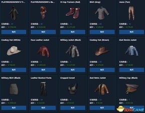 《绝地求生》独家对局攻略:揭秘高胜率技巧 《绝地求生》独家对局攻略:揭秘高胜率技巧