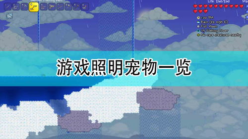 泰拉瑞亚：魔法灯笼宠物，黑暗中的指路明灯