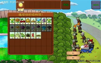 植物大战僵尸加强版植物攻略：深度解析全新植物技能