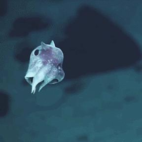 蔚蓝星球草团仙人新技能:神秘元素觉醒,属性大提升 蔚蓝星球草团仙人新技能:神秘元素觉醒,属性大提升