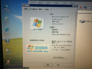 《严阵以待》联机好友设置攻略：轻松开启中文界面，畅玩无障碍！