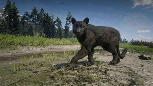 荒野大镖客2全传说动物位置揭秘攻略，解锁隐藏珍稀动物技巧