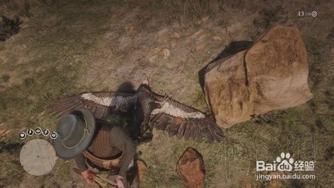 荒野大镖客2捕猎大师5挑战攻略：高效技巧解锁秘籍