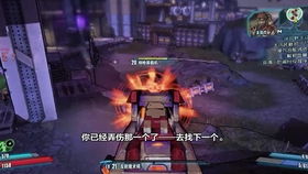 《无主之地4》魔女宠物流高效构筑技巧解析，轻松提升战斗力！