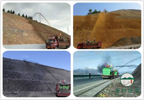 原神泉有重喷日攻略:高效完成任务新技巧揭秘 原神泉有重喷日攻略:高效完成任务新技巧揭秘