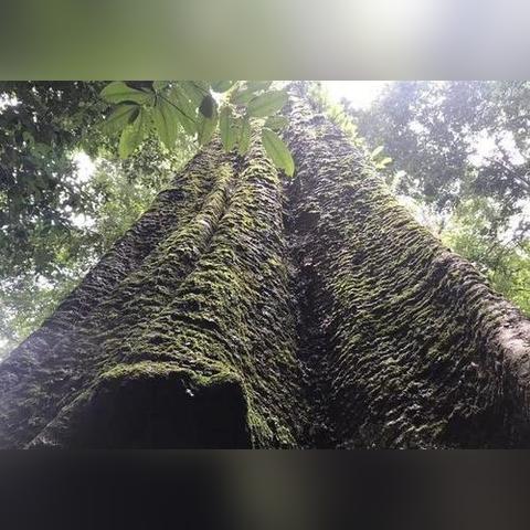 《无主之地4》寻宝攻略：揭秘全丢失补给舱隐藏位置及高效收集技巧