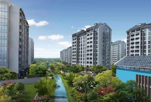 《心动小镇》家园地块快速解锁攻略，揭秘高效解锁技巧