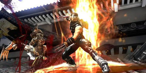 《忍者龙剑传4》IGN8分力荐！动作核心体验升级，畅玩必看攻略