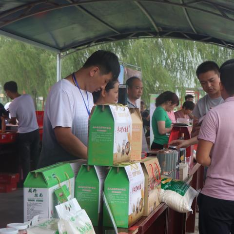 iOS公益服手游平台精选：揭秘十大苹果公益手游平台魅力