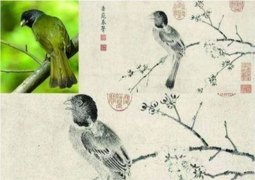 《山海旅人2》全鸟收集秘籍:24种珍禽分布解析攻略 《山海旅人2》全鸟收集秘籍:24种珍禽分布解析攻略