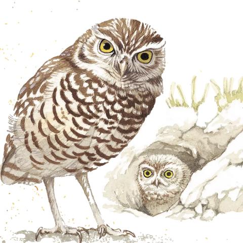 cf透视蜗牛( 能让我轻松吃鸡吗) cf透视蜗牛( 能让我轻松吃鸡吗)