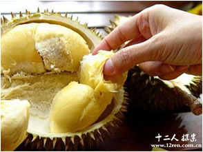 81万黄金榴莲上海一山姆热销,客服透露:暂未售出引关注 81万黄金榴莲上海一山姆热销,客服透露:暂未售出引关注