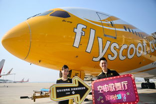 迷雾生存探险,鲸空翱翔新体验 迷雾生存探险,鲸空翱翔新体验