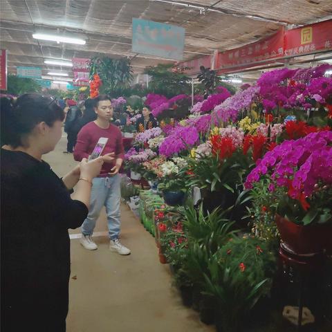 绝美花魁花房大揭秘,独家体验《完蛋美女2》Steam促销盛宴 绝美花魁花房大揭秘,独家体验《完蛋美女2》Steam促销盛宴