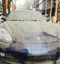 保时捷中心关店真相:3月底全面停业,售后何去何从? 保时捷中心关店真相:3月底全面停业,售后何去何从?