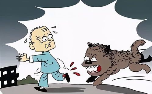 紧急救治！宠物鸭病重，主人雾化护理全力挽救新希望