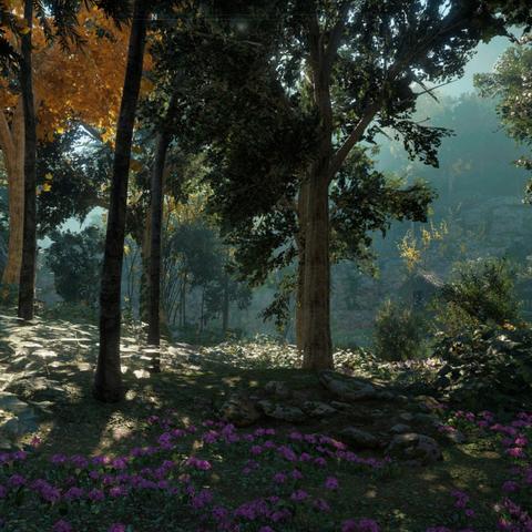 《孤岛惊魂》三部60帧升级，视觉盛宴新体验