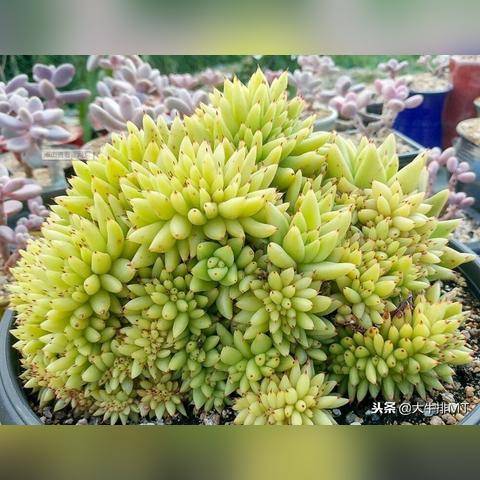 轩辕剑汉之云在哪下?老玩家亲测3种干净渠道+避坑指南,直接找回当年的温度 轩辕剑汉之云在哪下?老玩家亲测3种干净渠道+避坑指南,直接找回当年的温度