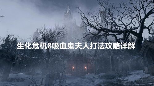 PS5Pro画质巅峰！《生化危机9》安魂曲4K/60帧光追全开新体验