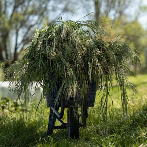 极致割草狂潮来袭！《菜园无双》爽快试玩体验新巅峰